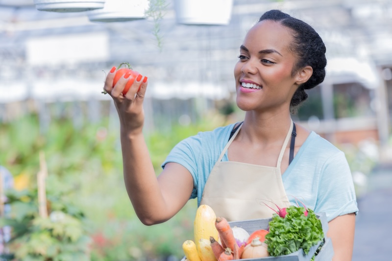 Illustration of New Zealand pastoral farmland with rolling green hills and sheep grazing